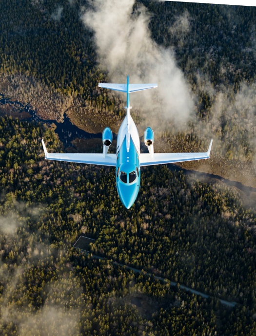 Jet flying over forest.