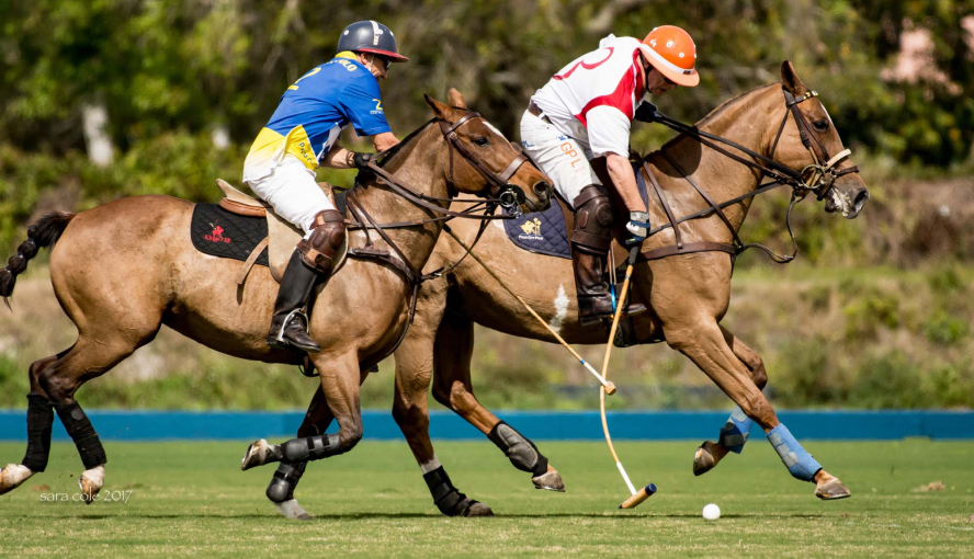 Two polo players competing