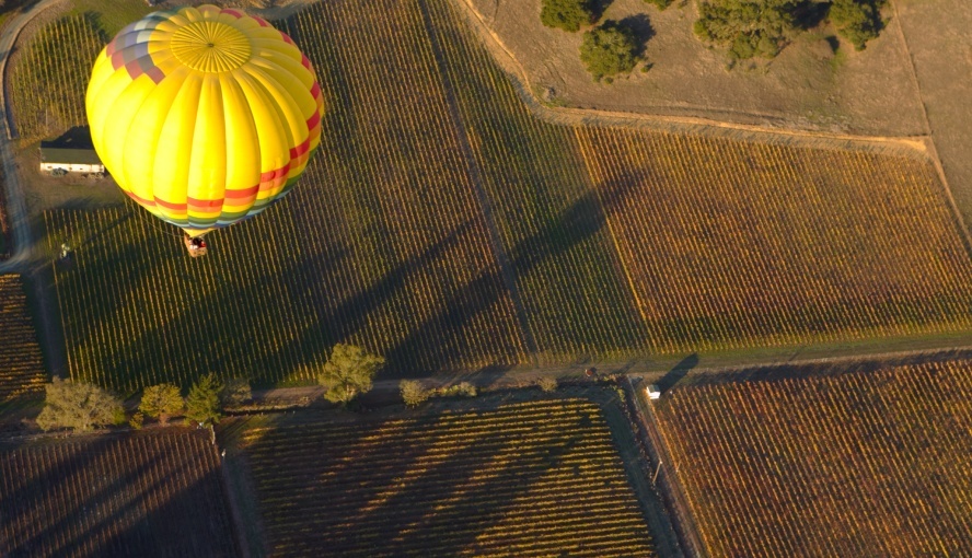 Hot air balloon over napa valley vineyard